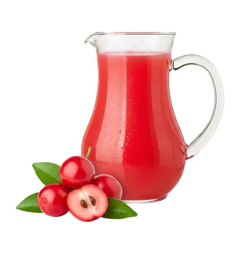 jarra-suco-acerola Suco de Acerola - Imagem 1